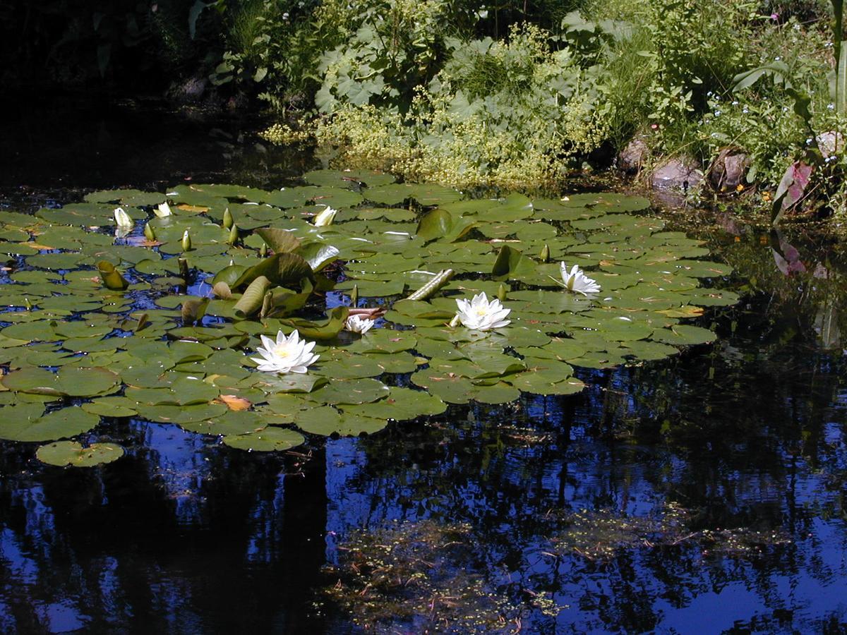 Seerose Alt Wendischthun 외부 사진